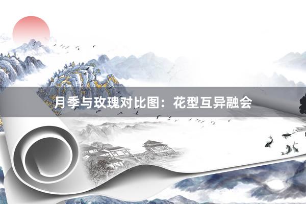 月季与玫瑰对比图：花型互异融会